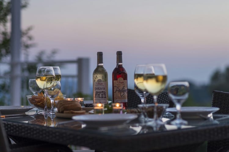 1kiralik-yazlik-villa-villa-pinar- (9).jpeg