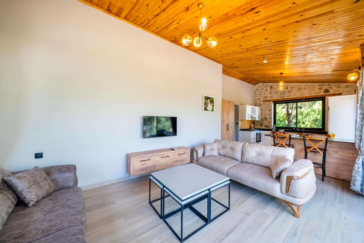 1kiralik-tatil-villasi-villa-nature-muarkuru- (20).jpg