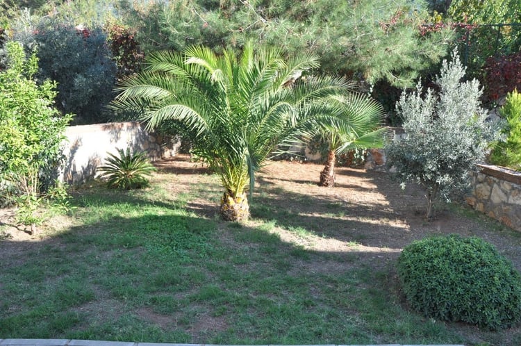 1kiralik-yazlik-villa-villa-sunset-a- (9).JPG