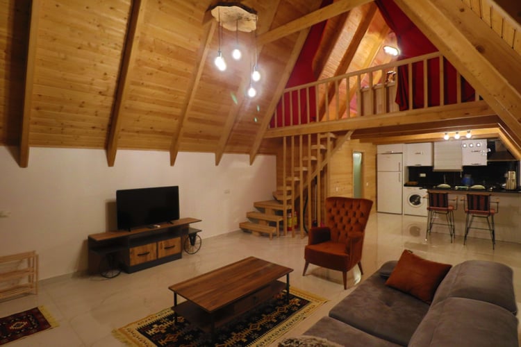 1kiralik-tatil-villasi-villa-askhane- (27).JPG