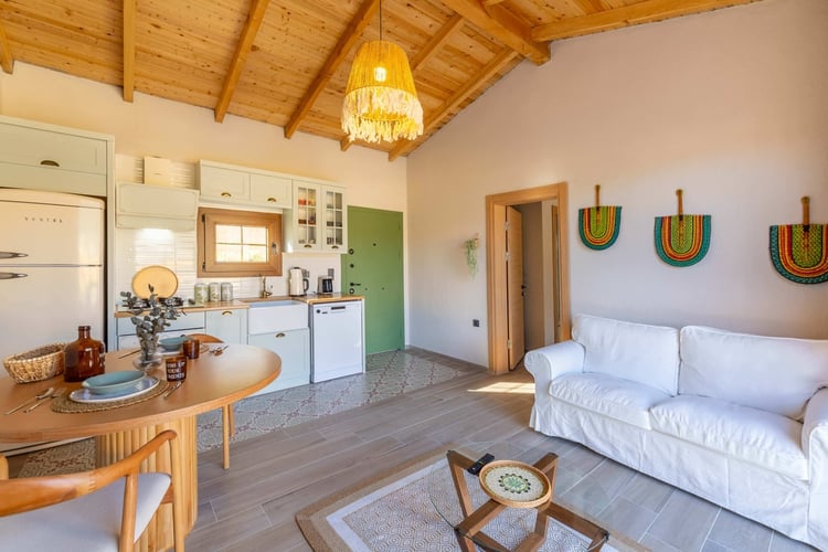 1kiralik-yazlik-villa-villa-green (22).jpg