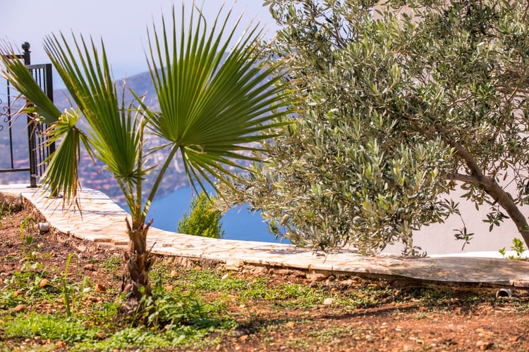 1kiralik-jakuzili-villa-deniz-manzarali-villa-villa-antik (5).jpg