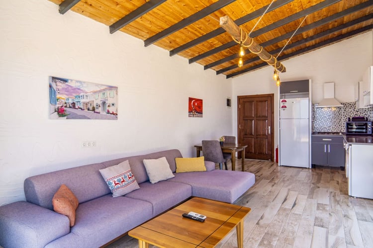 Kiralik-yazlik-villa-villa patika 6 (40).jpg