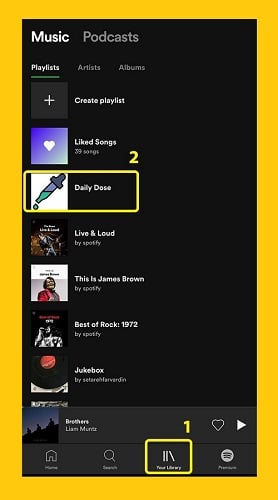 Spotify playlist - Spotify playlist picture - How to Spotify