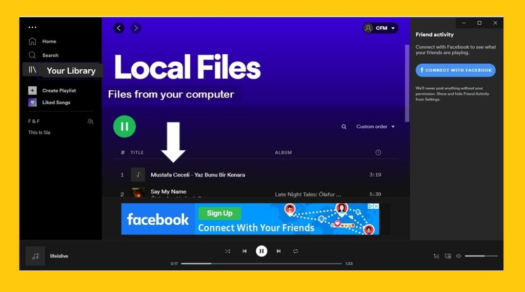 local Spotify files  