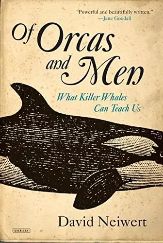 Orca
