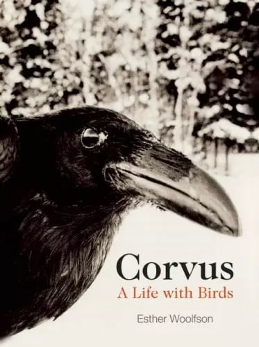 Corvus