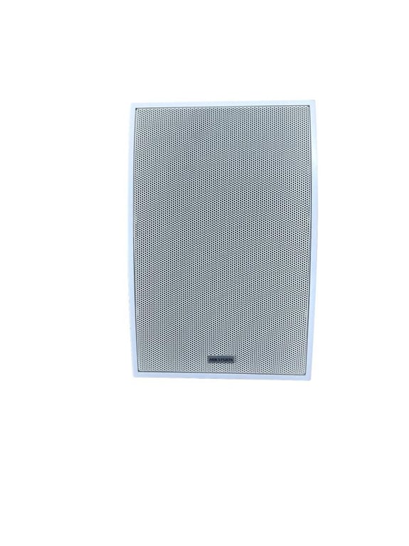 Analog Kabin Hoparlörü 20W