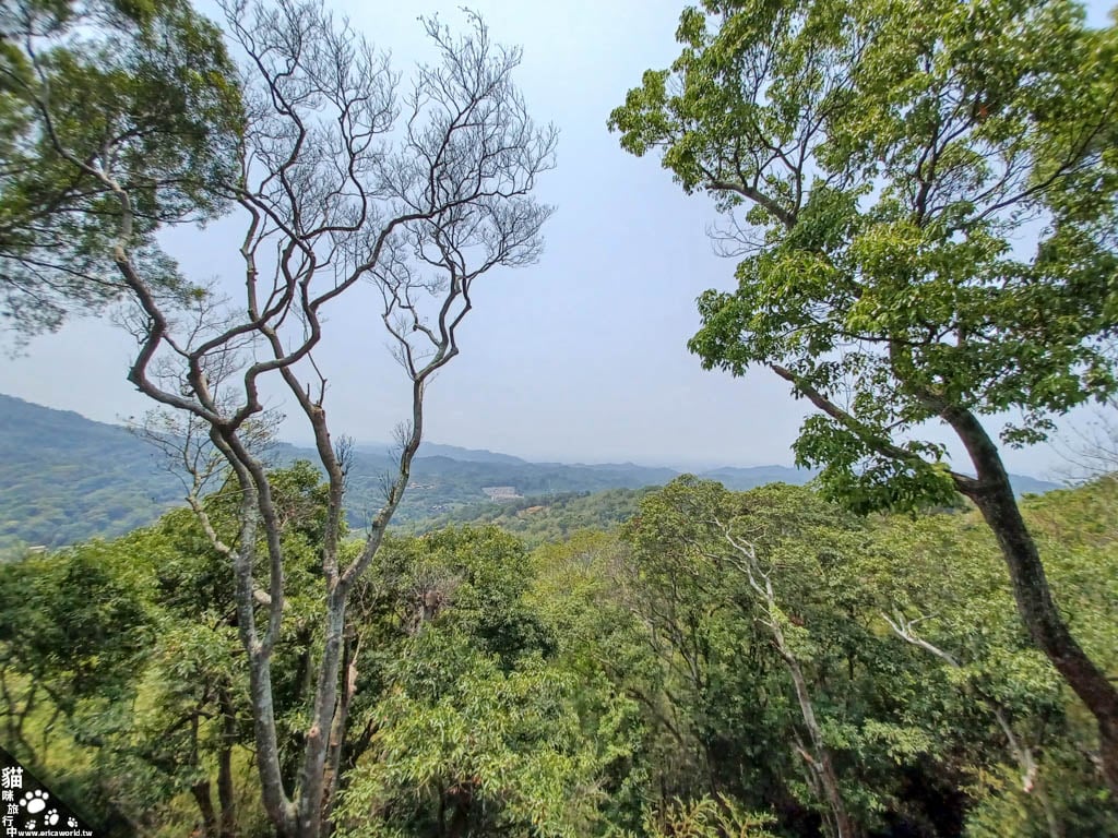 飛花落院 景觀餐廳 台中