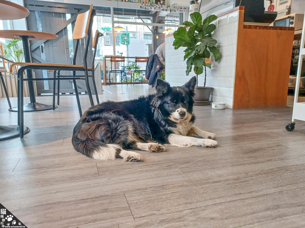 咖啡廳 小角落青旅咖啡