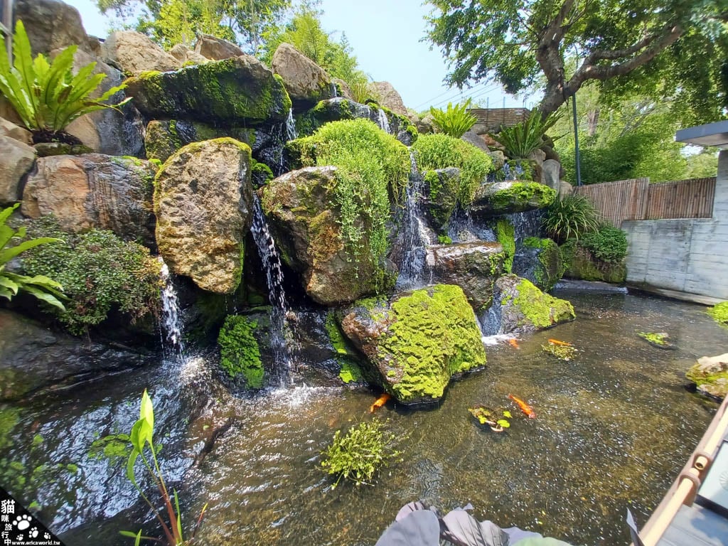 飛花落院 景觀餐廳 台中