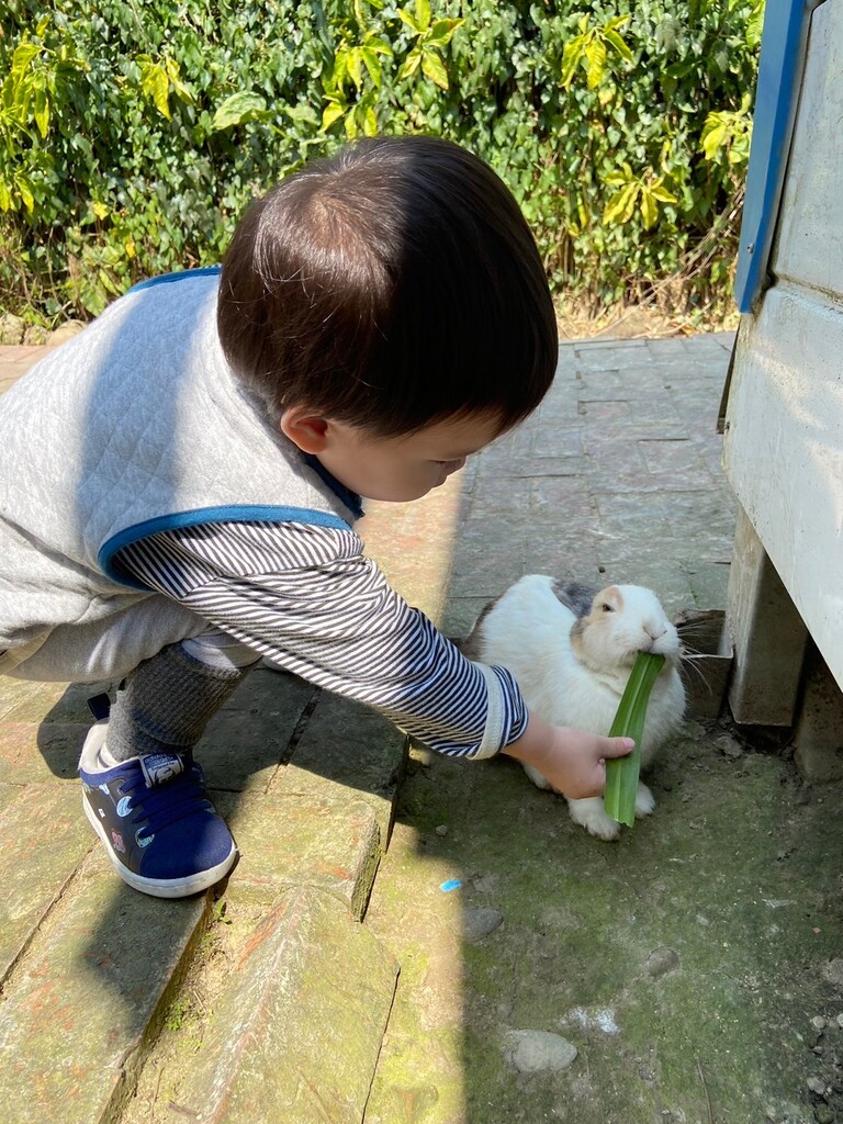 京業馬場兔樂園