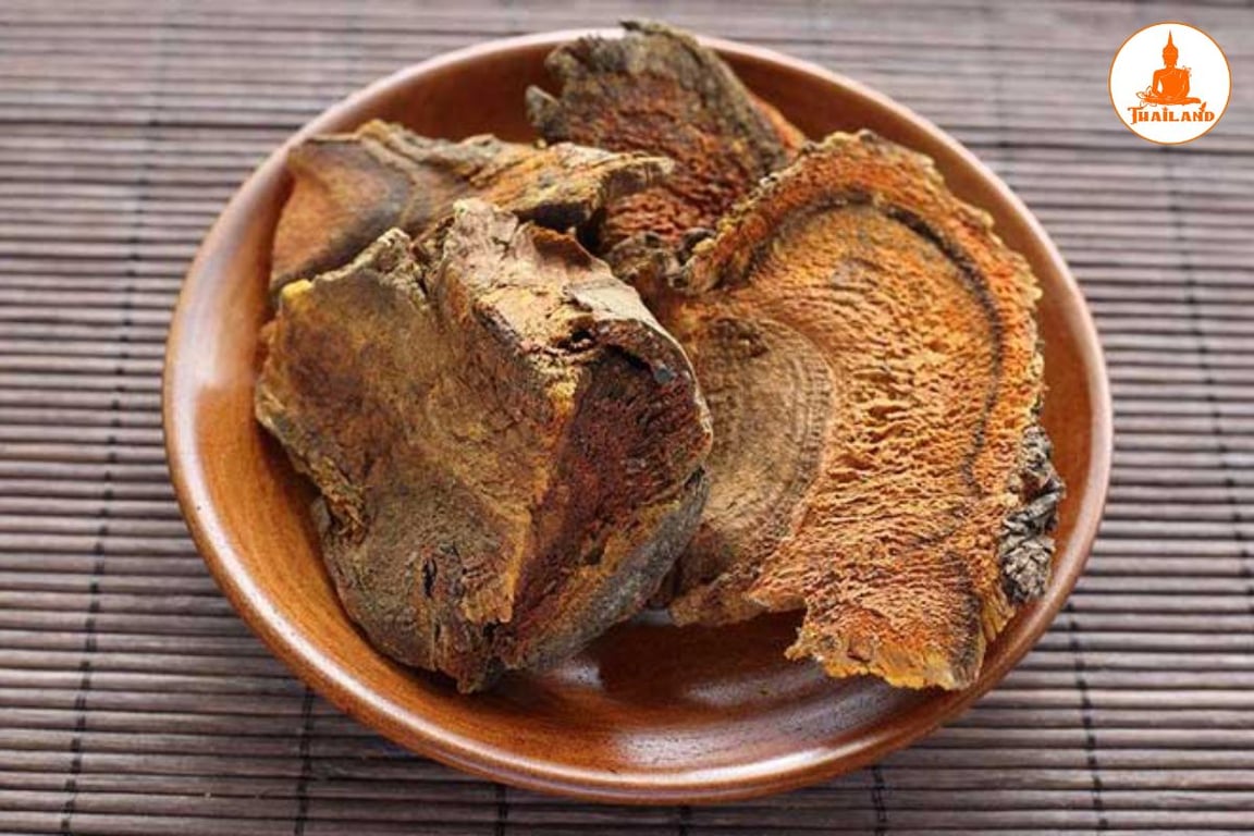 Bài thuốc chữa bệnh từ Đại hoàng