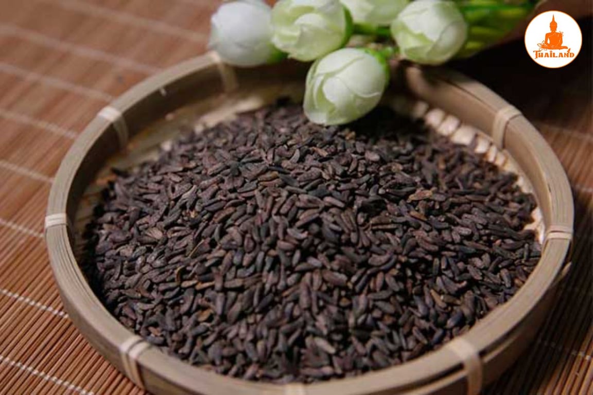 Bài thuốc chữa bệnh từ ngưu bàng tử