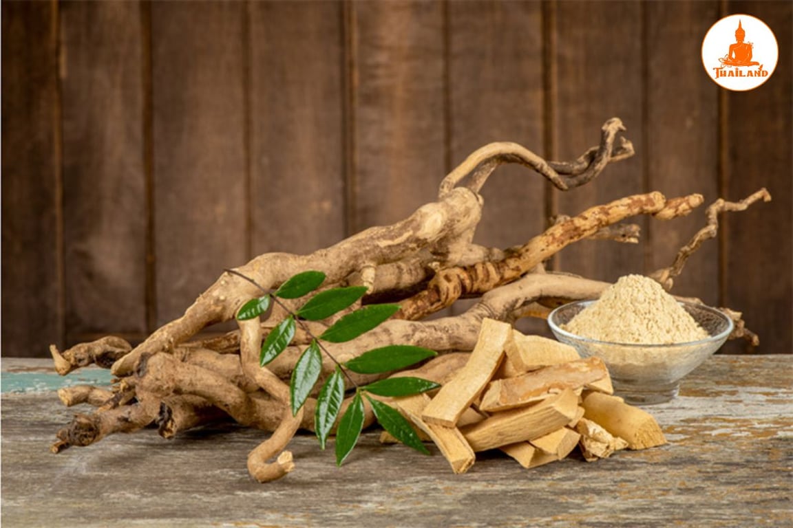 Rượu ngâm mật nhân được sử dụng để hỗ trợ cải thiện các vấn đề sinh lý nam
