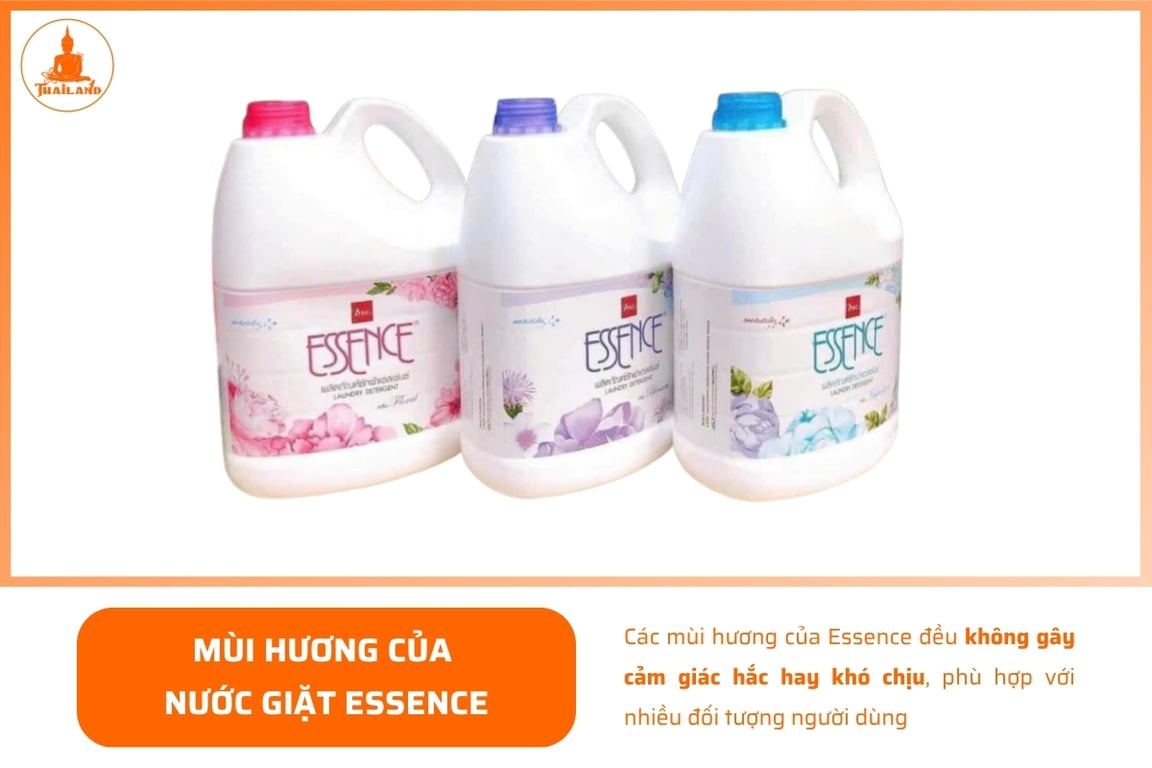 các mùi hương của nước giặt Essence đều không gây cảm giác hắc hay khó chịu