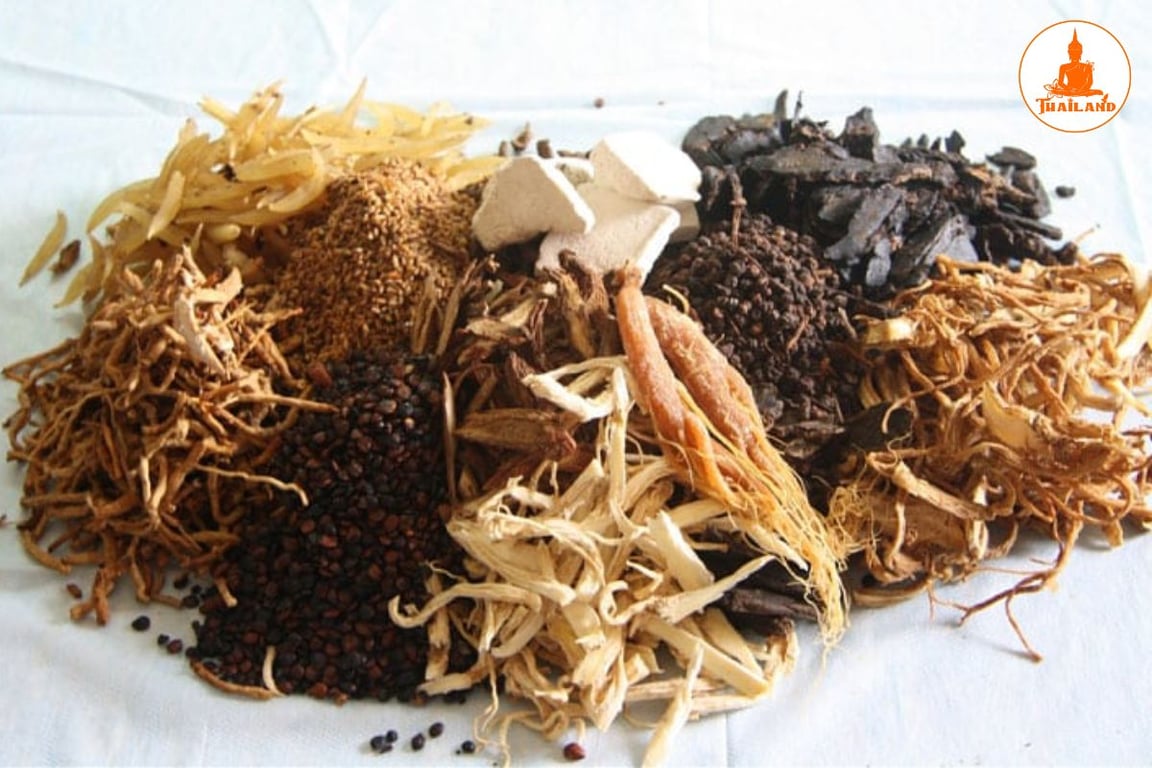 Bài thuốc chữa bệnh từ thục địa