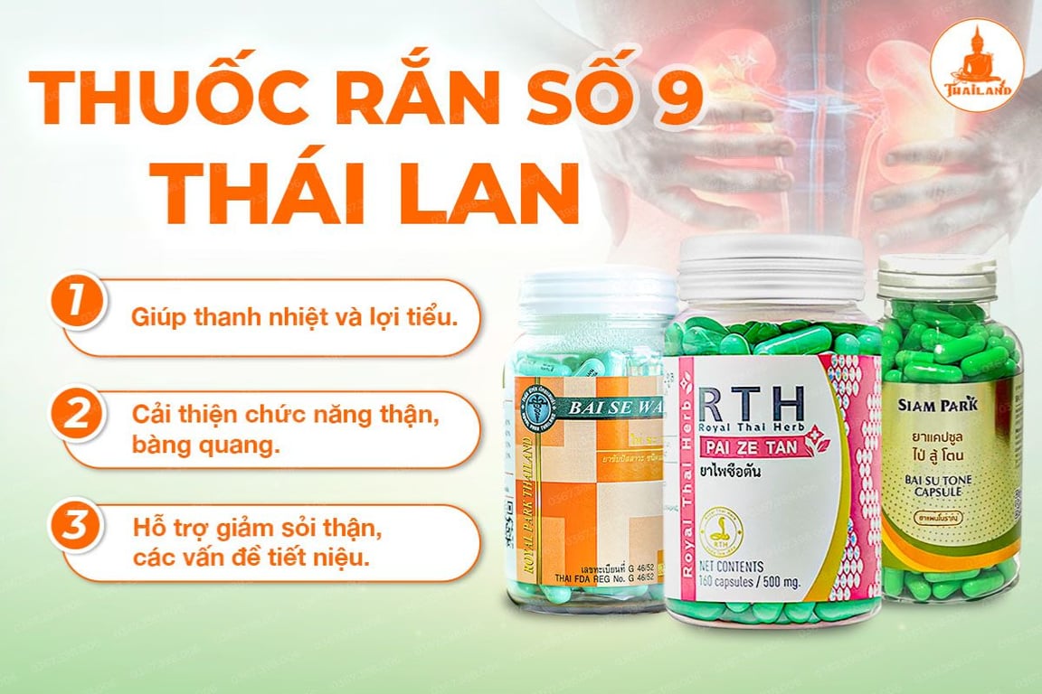Thuốc rắn Thái Lan số 9 được sản xuất trên dây chuyền công nghệ hiện đại, kiểm soát nghiêm ngặt