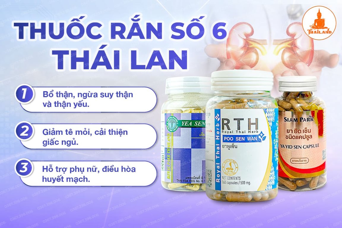 Thuốc rắn Thái Lan số 6 được biết đến với công dụng hỗ trợ chăm sóc sức khỏe thận