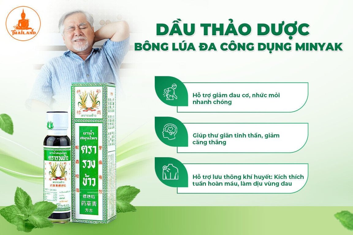Dầu bông lúa Minyak mang đến hiệu quả nhanh chóng trong việc giảm đau, kháng viêm