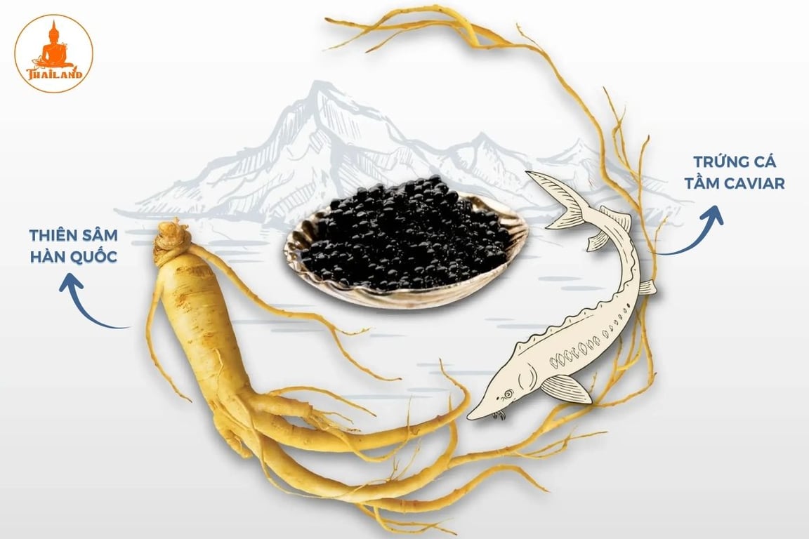 Sản phẩm là sự kết hợp giữa Thiên Sâm Hàn Quốc 6 năm tuổi và trứng cá tầm
