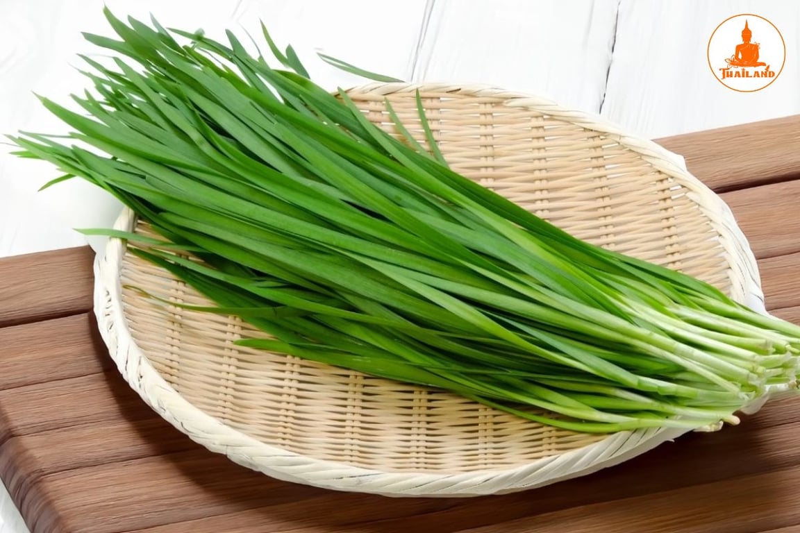 Cây hẹ