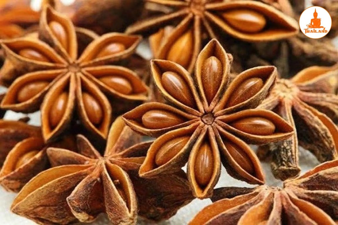 Hoa hồi