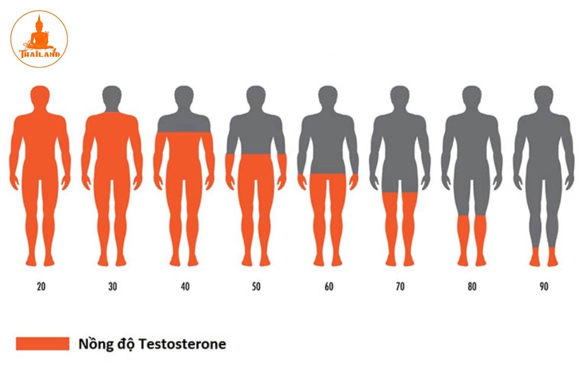 Nội tiết tố nữ thường suy giảm theo độ tuổi