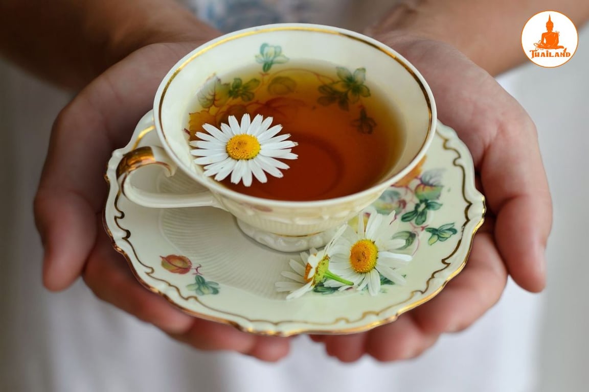 Uống trà hoa cúc