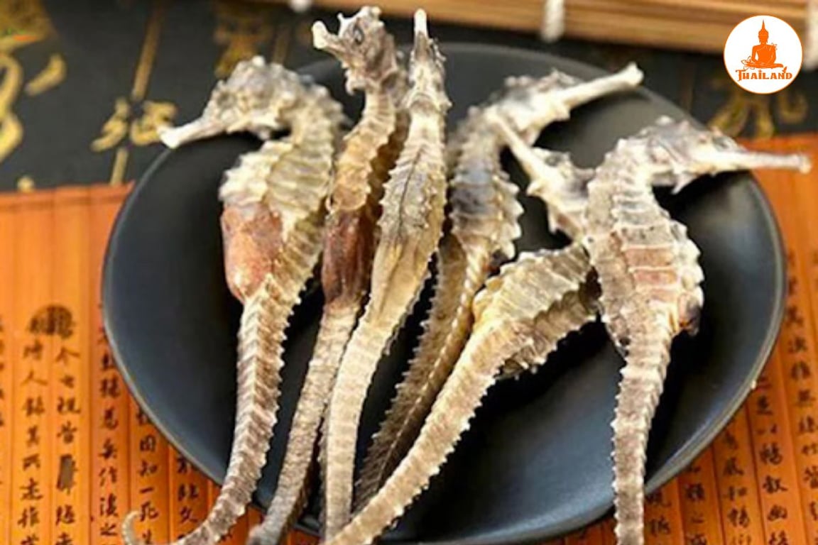 Rượu ngâm cá ngựa giúp hỗ trợ cải thiện tình trạng yếu sinh lý