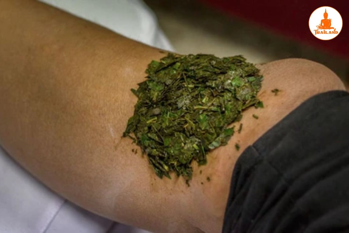 Đắp lá lốt & ngải cứu chữa đau thần kinh tọa