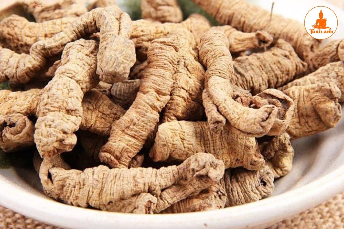 Ba kích ngâm rượu có thể hỗ trợ cải thiện các vấn đề sinh lý nam