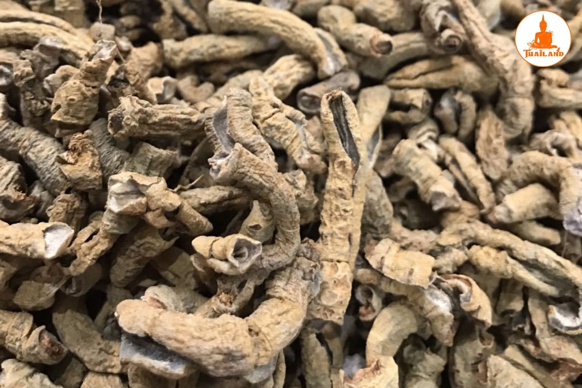 Rửa ba kích khô bằng nước ấm để loại bỏ bụi bẩn và tạp chất