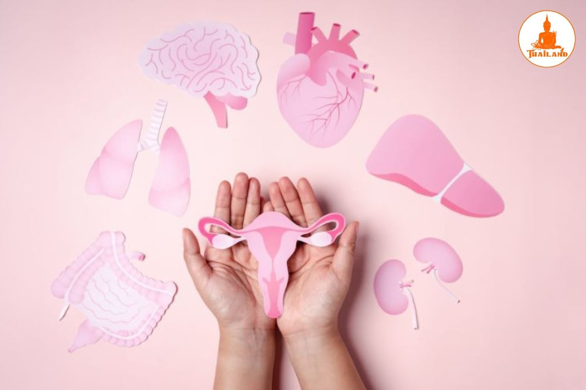 Nội tiết tố nữ là hormone estrogen và progesterone