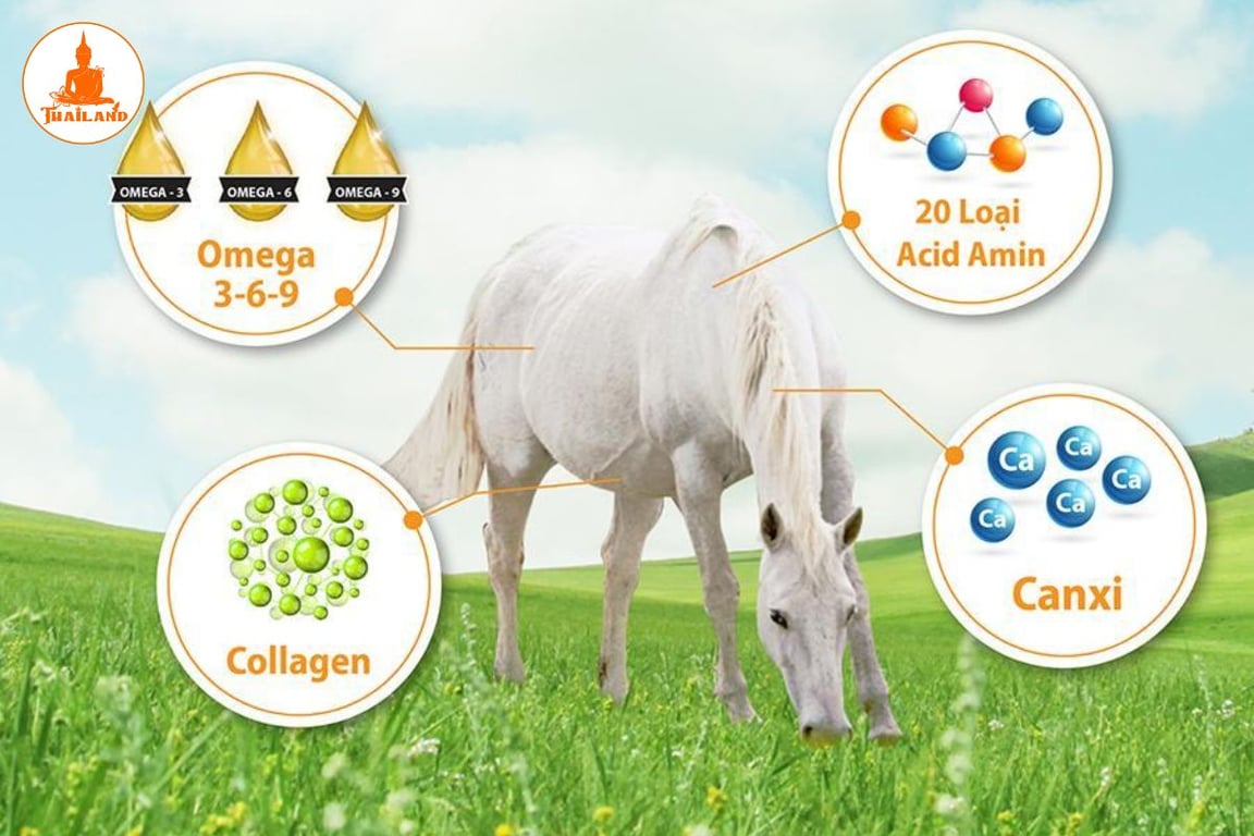 Cao ngựa không chỉ kích thích sự phát triển của xương mà còn hỗ trợ phòng ngừa còi xương