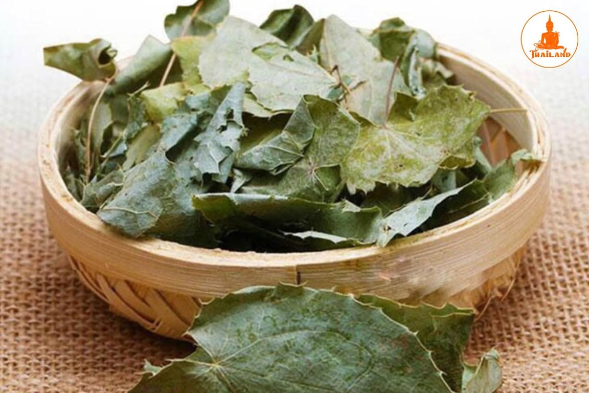 Bài thuốc chữa bệnh từ dâm dương hoắc