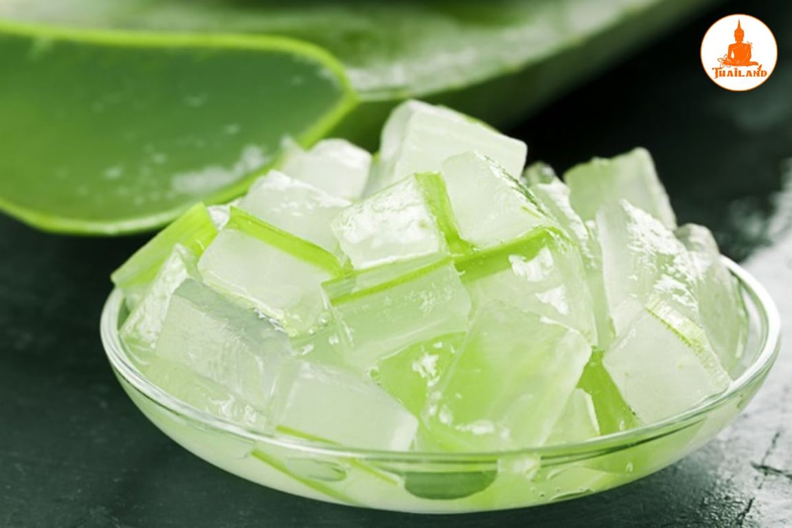 Nha đam chữa trào ngược dạ dày