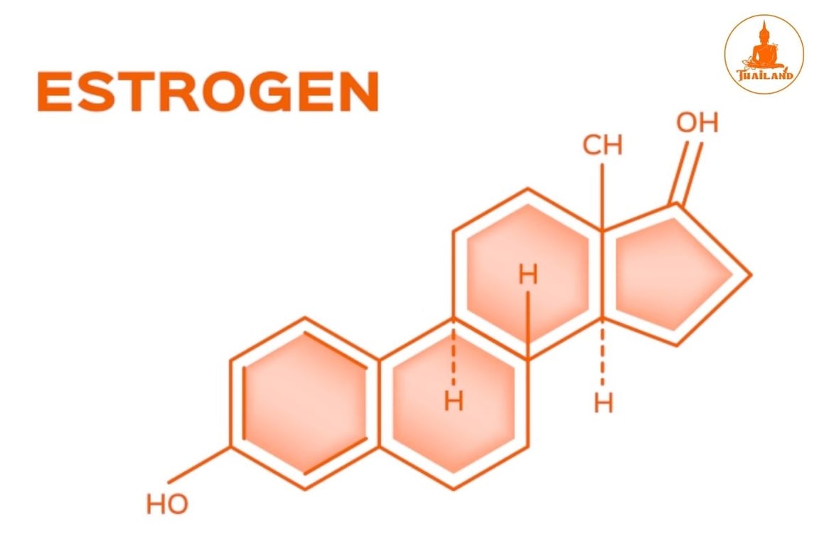 Estrogen là hormone nữ giới, chủ yếu hình thành từ buồng trứng