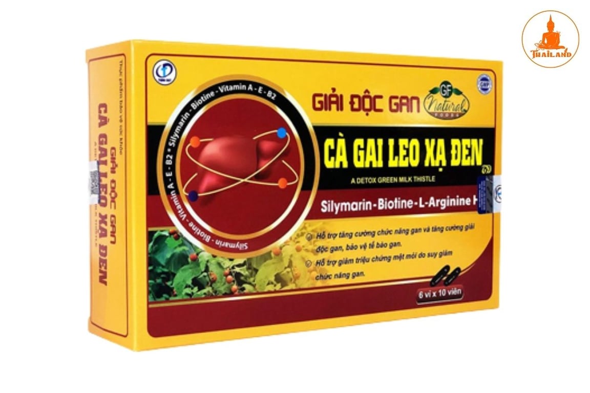 Giải độc gan cà gai leo xạ đen