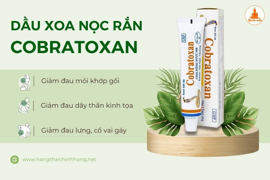 Dầu xoa bóp rắn hổ mang Cobratoxan giảm đau cơ xương khớp