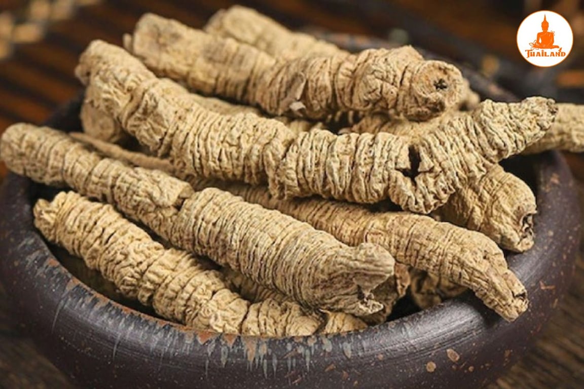 Công dụng của cây ba kích