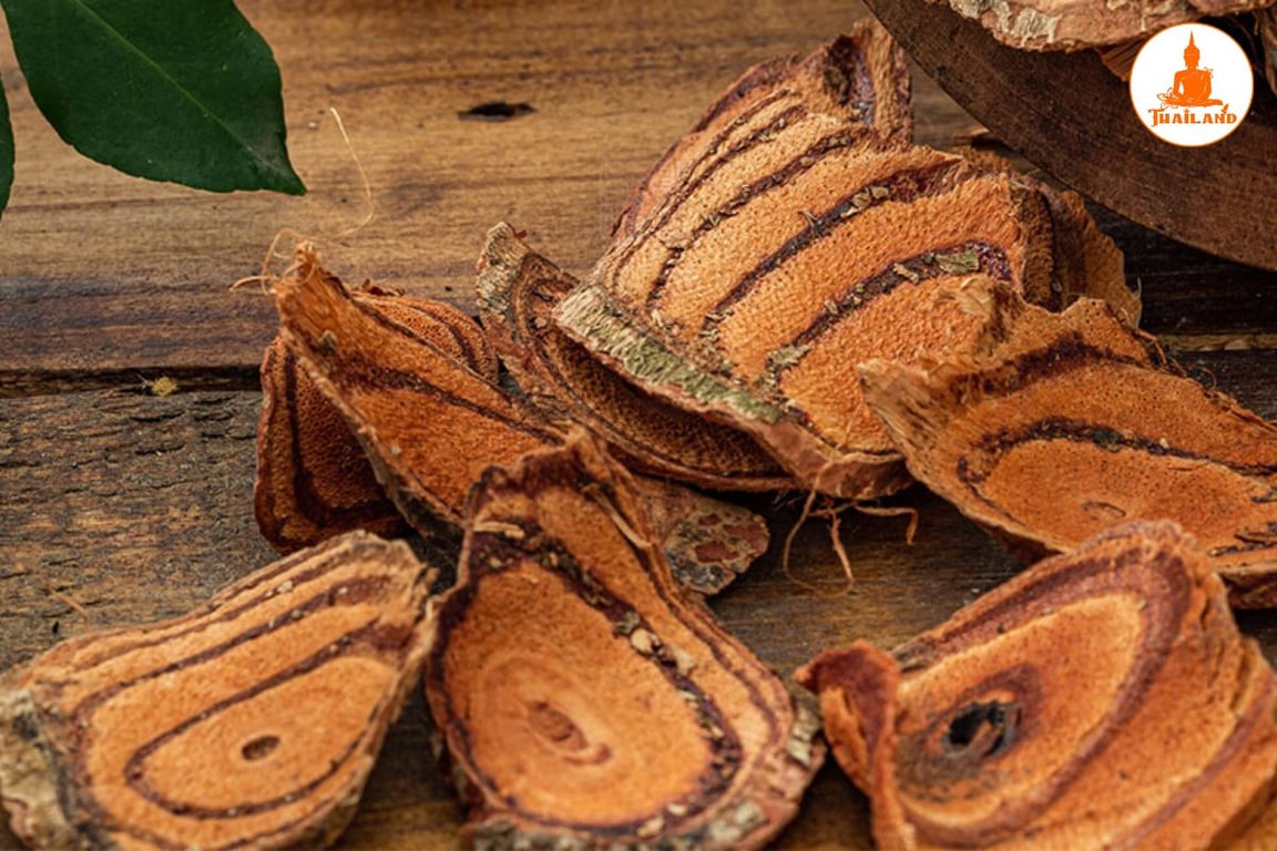 Cây huyết đằng