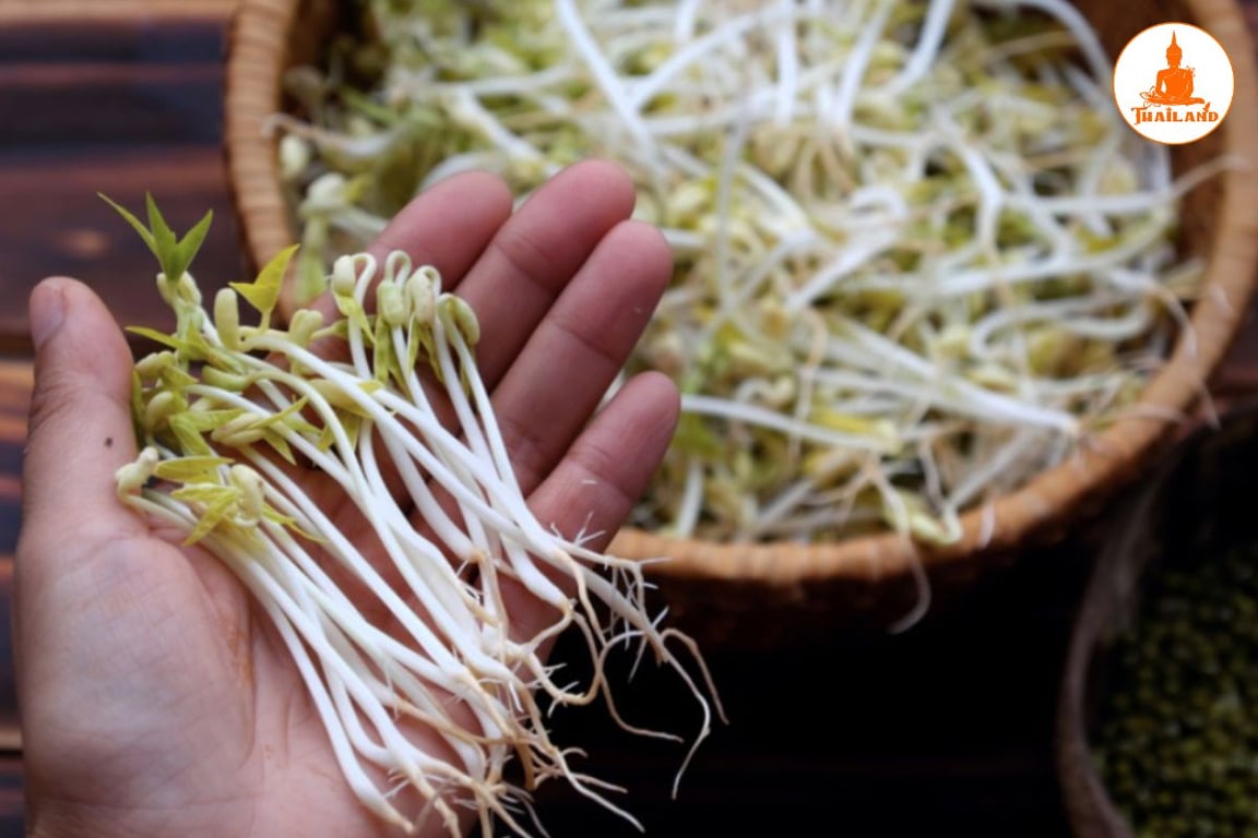 Giá đỗ