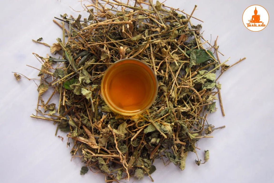 Giữ nước cà gai leo trong bình giữ nhiệt để hương vị thơm hơn và phát huy hiệu quả tốt hơn