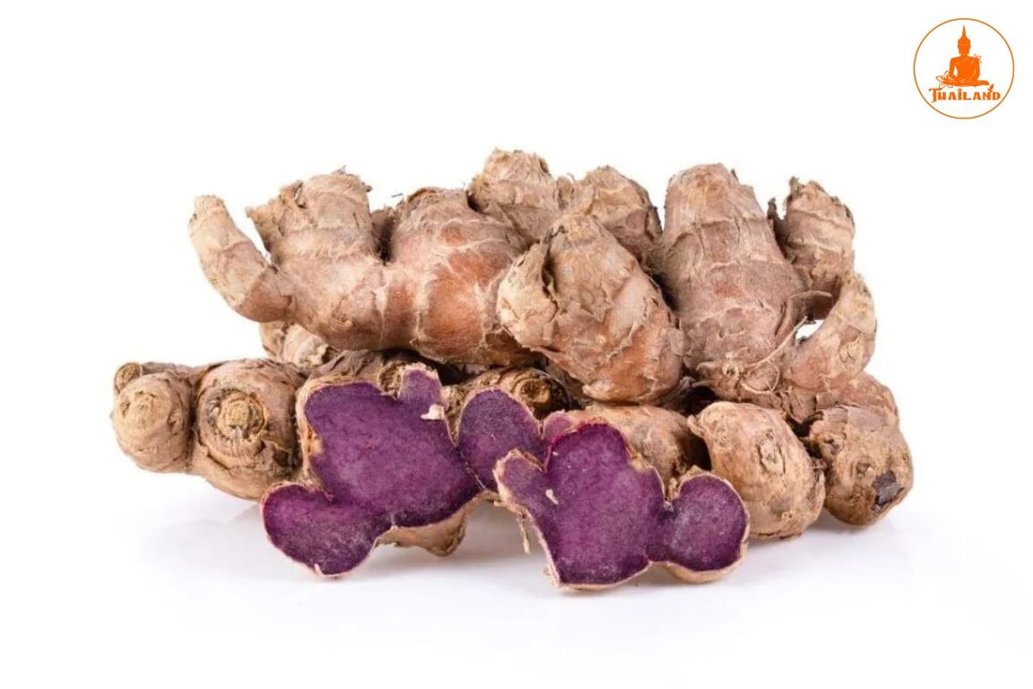 Gừng đen là loại gừng gì?