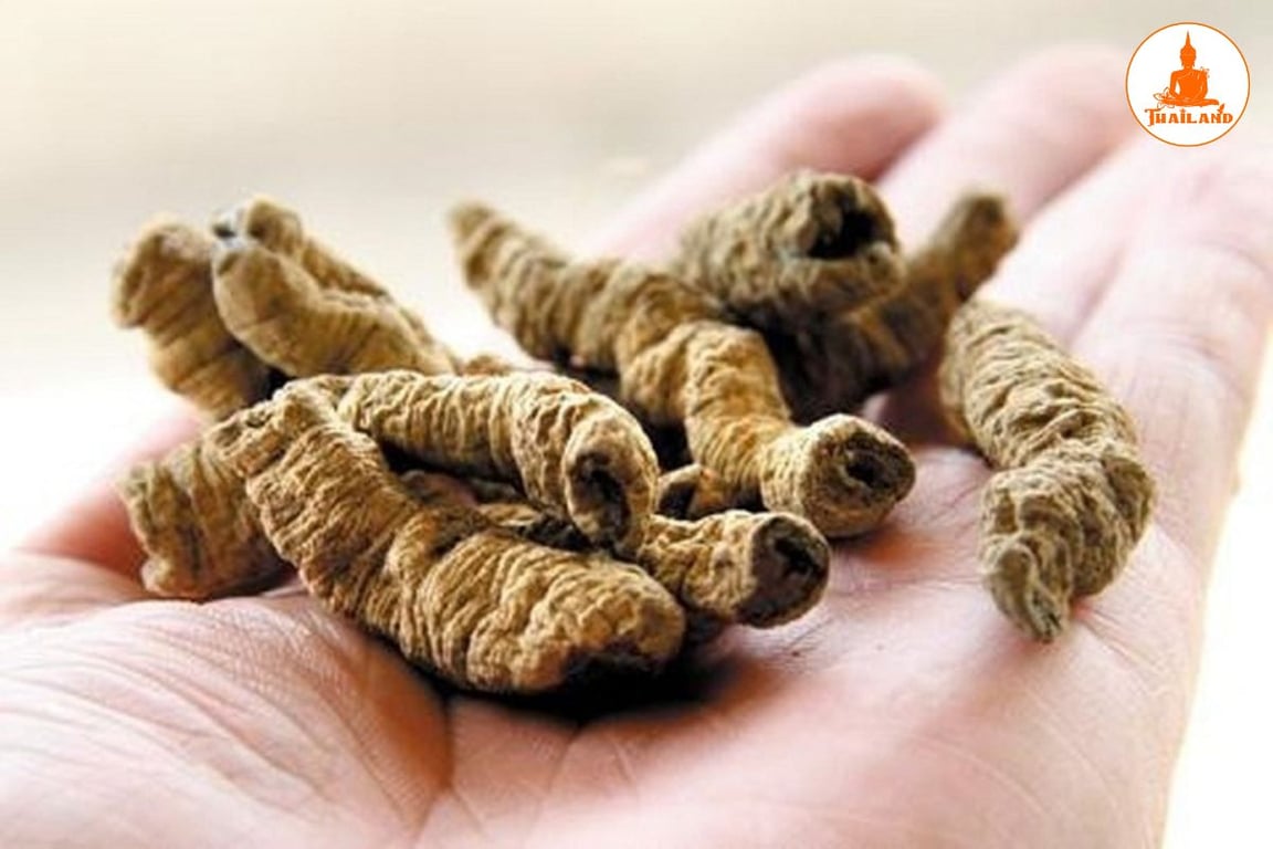 Bài thuốc chữa bệnh từ ba kích