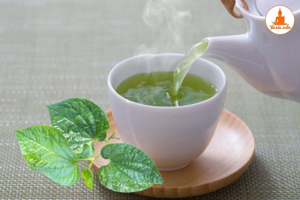 Uống nước lá lốt chữa đau thần kinh tọa