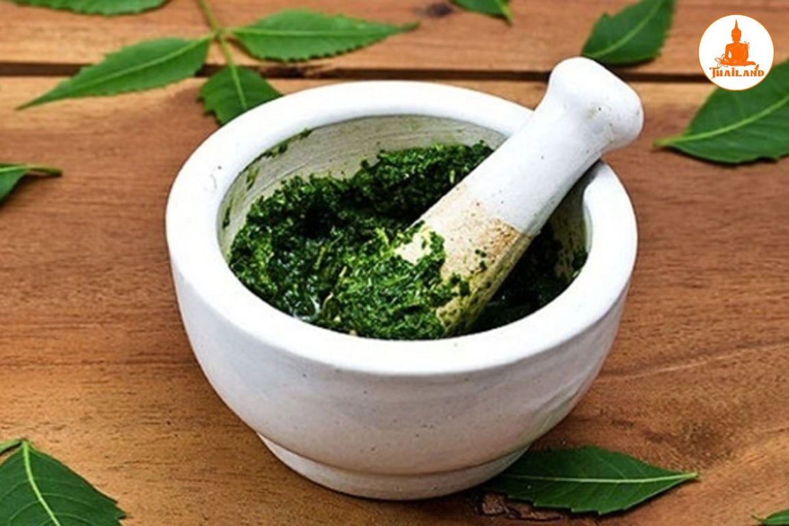 Đắp lá lốt chữa thoát vị đĩa đệm