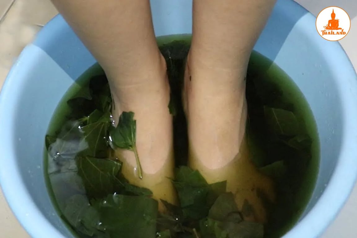 Ngâm chân lá lốt chữa đau thần kinh tọa