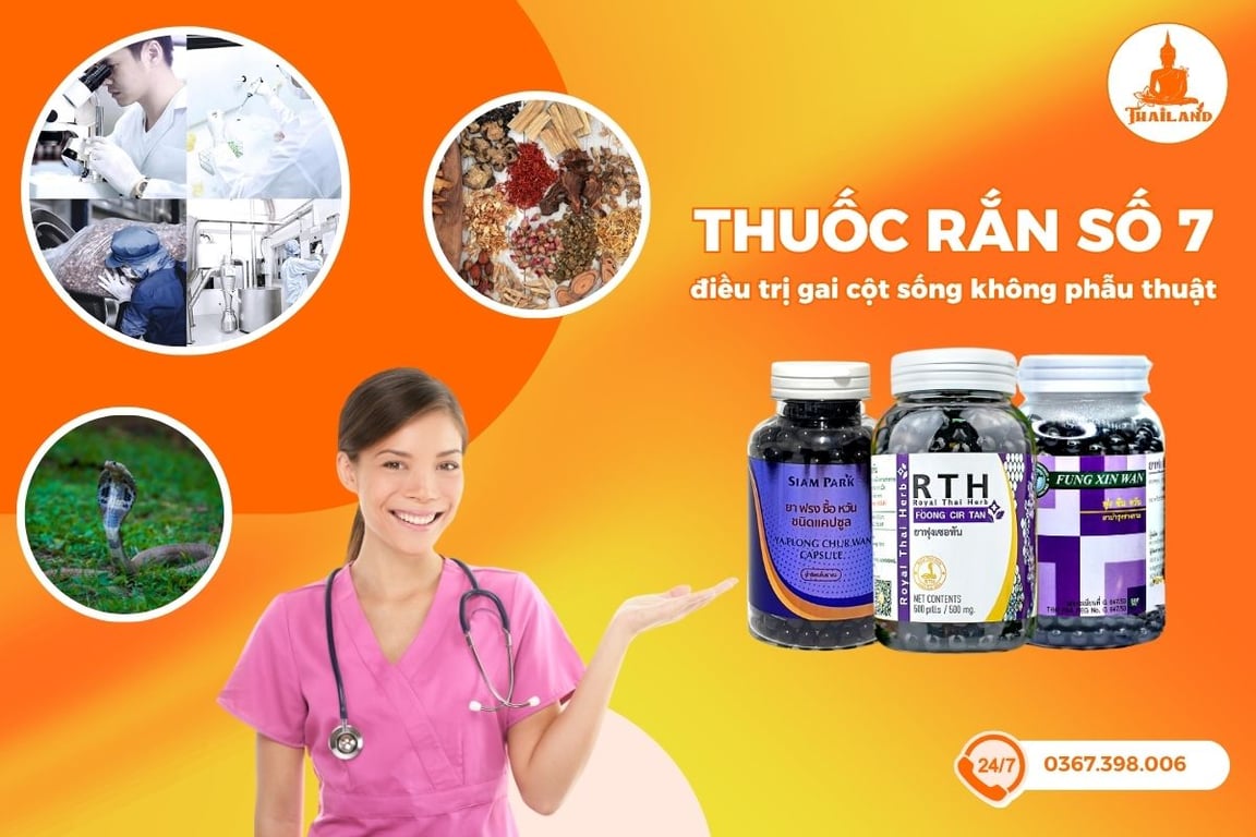 Thuốc rắn số 7 là sản phẩm chuyên đặc trị các vấn đề về xương khớp, đặc biệt là gai cột sống